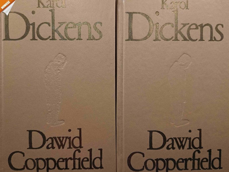 DAWID COPPERFIELD - Karol Dickens