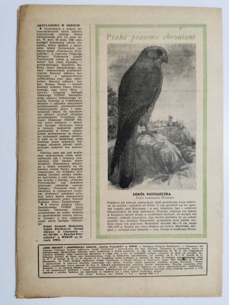HODOWCA GOŁĘBI POCZTOWYCH NR 7  1968