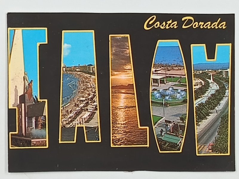 COSTA DORADA SALOA