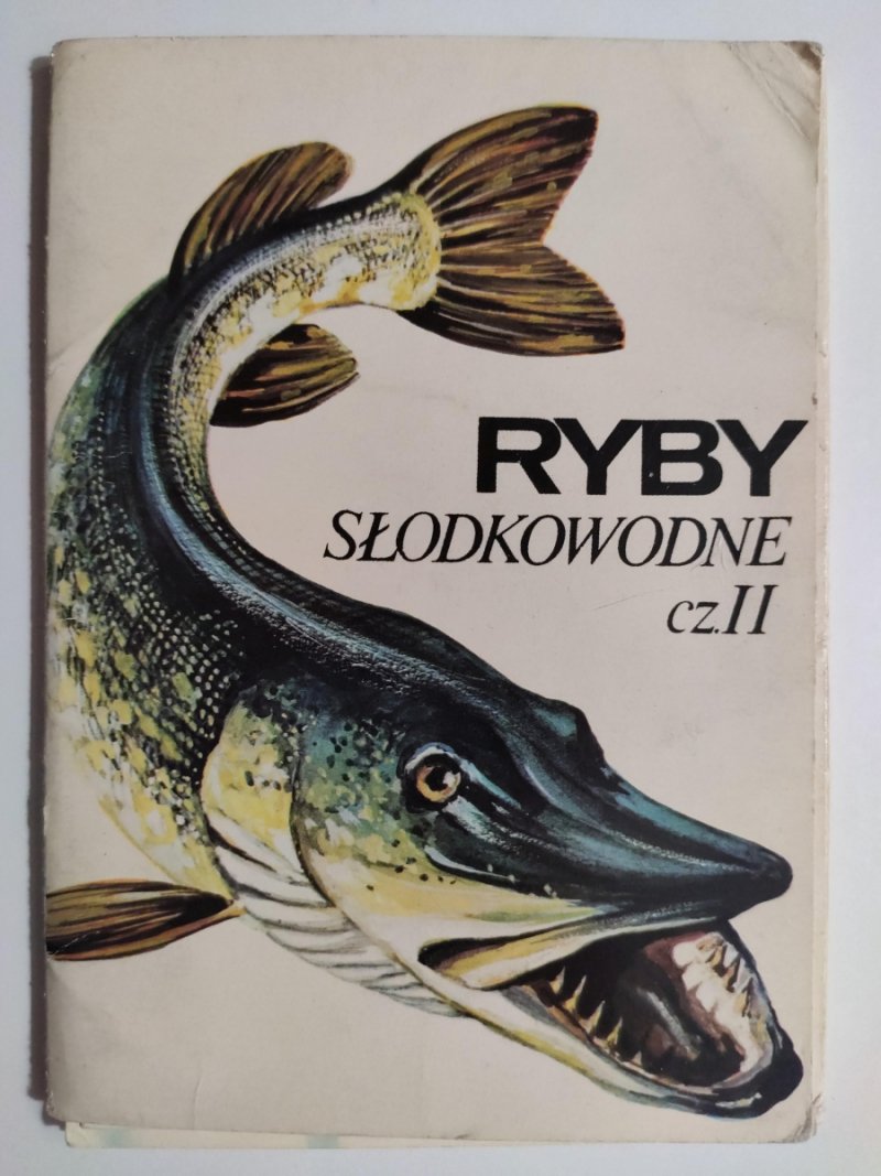 RYBY SŁODKOWODNE CZ. II – 9 ZDJĘĆ