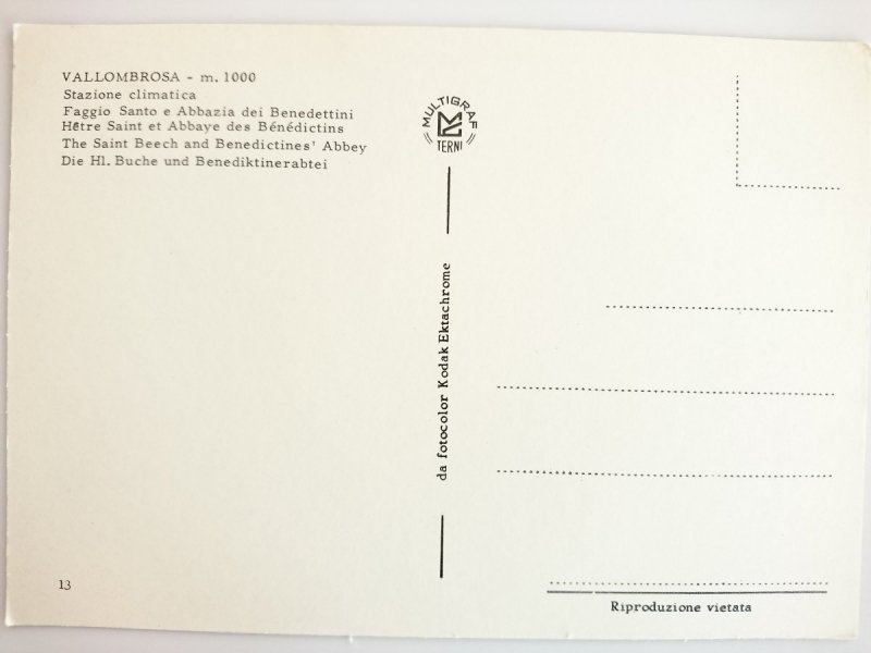 VALLOMBROSA – M. 1000. STAZIONE CLIMATICA. FAGGIO SANTO E ABBAZIA DEI BENEDETTINI