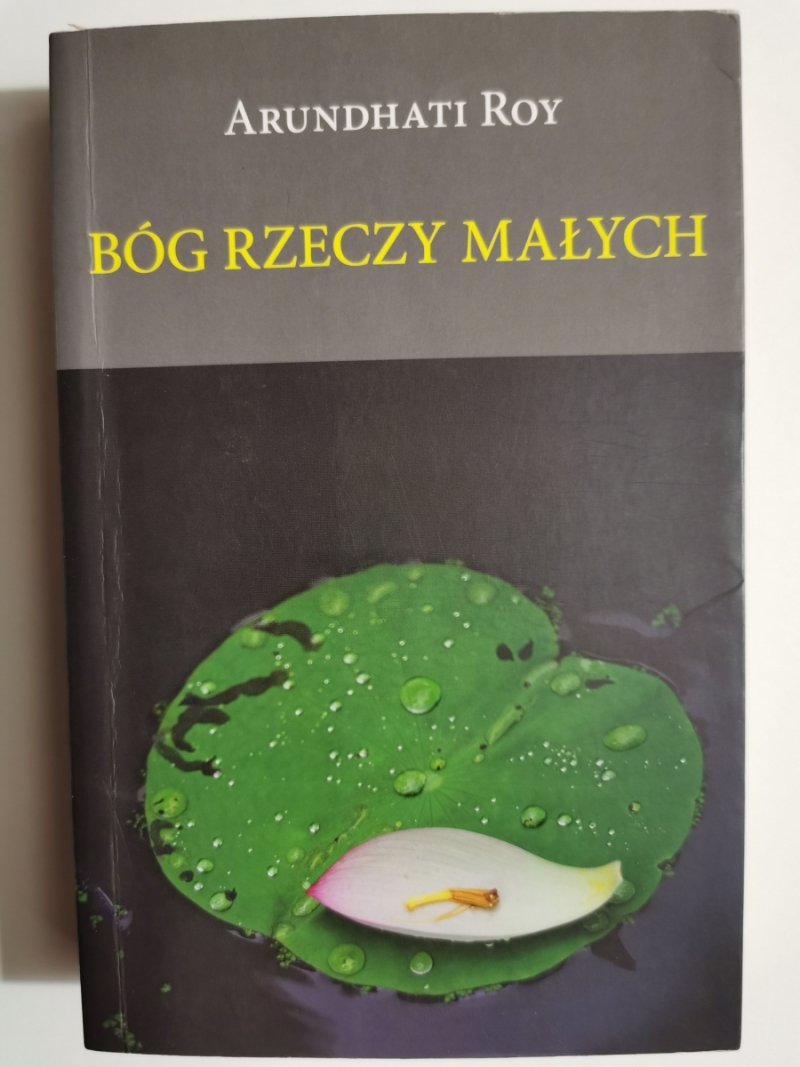 BÓG RZECZY MAŁYCH - Anrundhati Roy