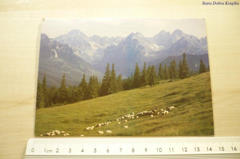 TATRY. RUSINOWA POLANA, WIDOK NA TATRY BIELSKIE