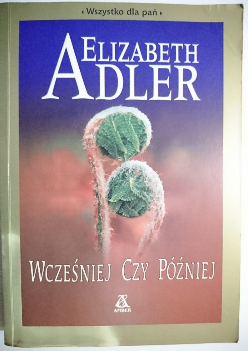 WCZEŚNIEJ CZY PÓŹNIEJ - Elizabeth Adler 2001