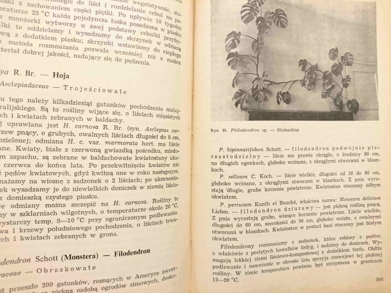 KWIACIARSTWO. PODRĘCZNIK DLA TECHNIKÓW OGRODNICZYCH 1967