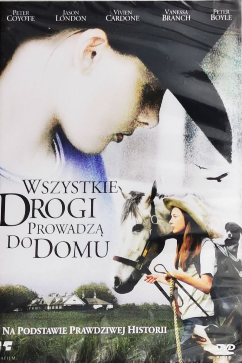 DVD. WSZYSTKIE DROGI PROWADZĄ DO DOMU
