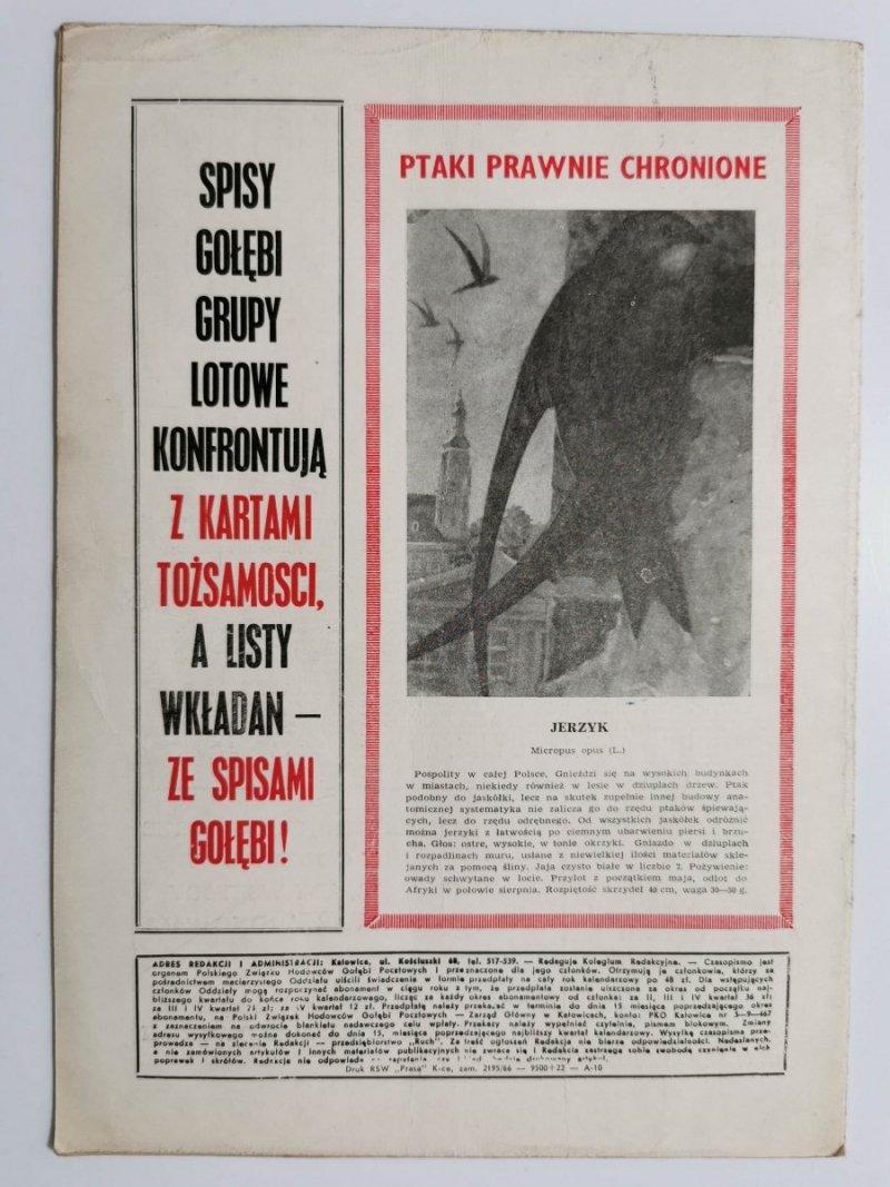 HODOWCA GOŁĘBI POCZTOWYCH NR 7  1966