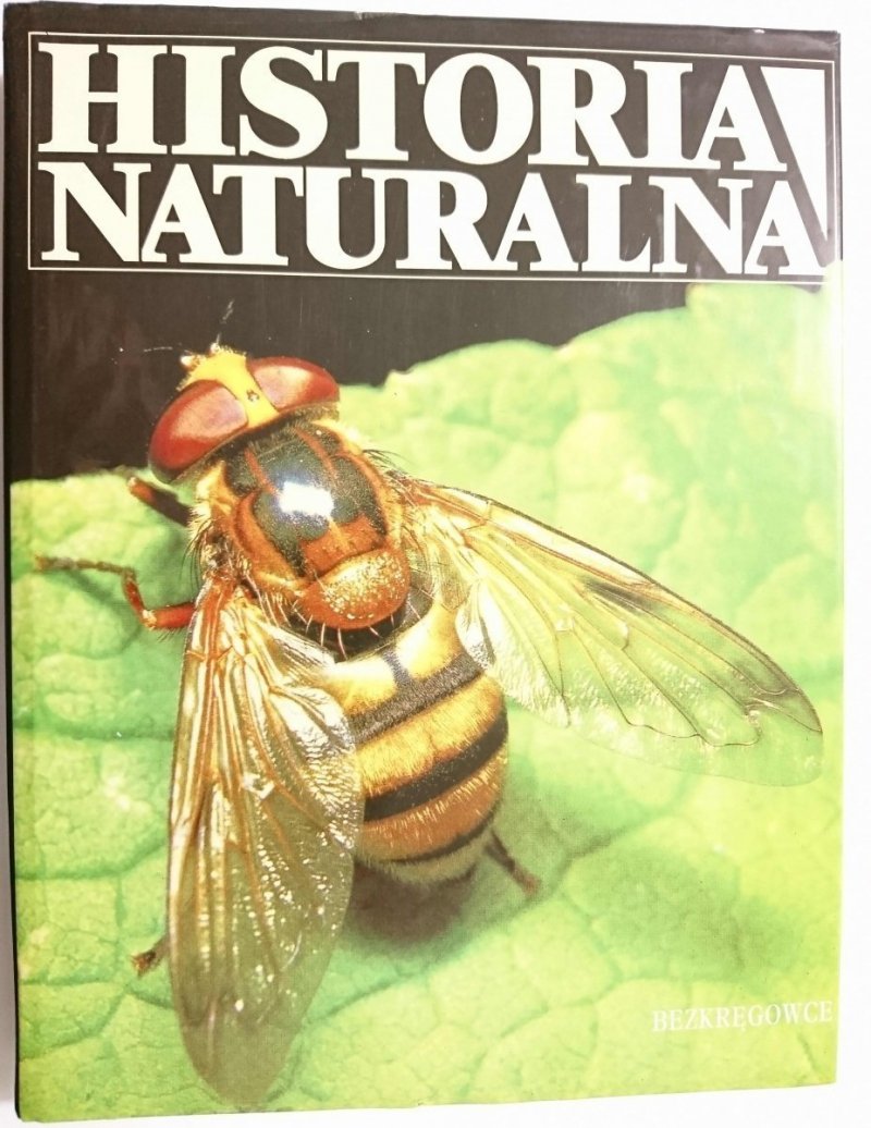 HISTORIA NATURALNA. BEZKRĘGOWCE - Praca Zbiorowa 1995