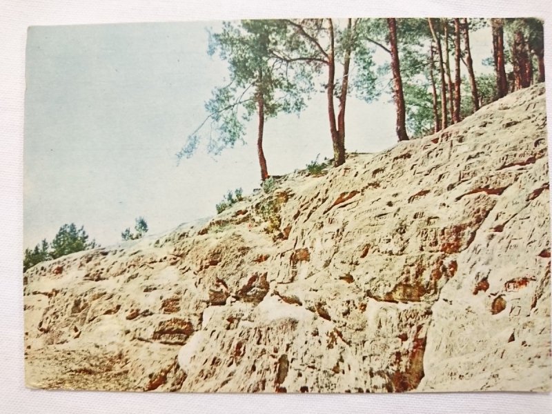 TOMASZÓW MAZOWIECKI. NAGÓRZYCE – GROTY PIASKOWCOWE FOT. S. ARCZYŃSKI