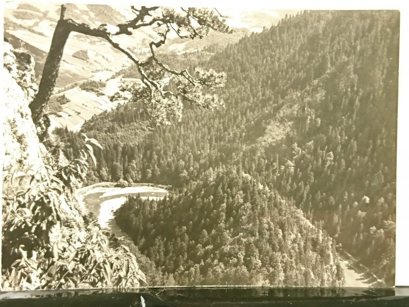 PIENINY. WIDOK Z SOKOLICY