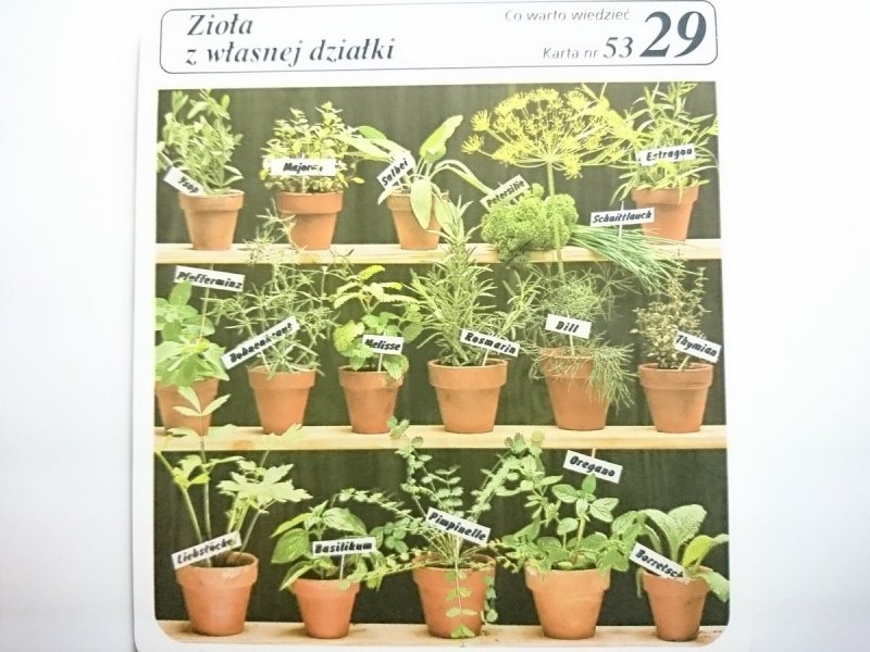 KARTA KULINARNA NR 53 ZIOŁA Z WŁASNEJ DZIAŁKI