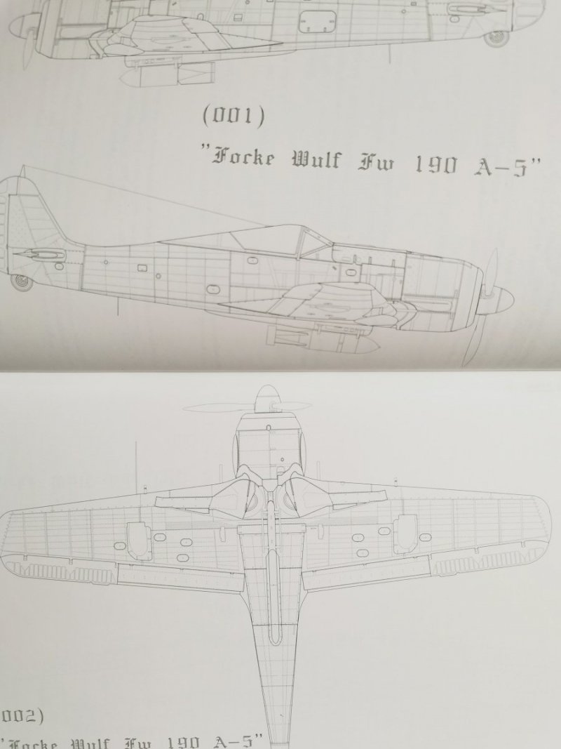 Focke Wulf Fw 190 - Waldemar Trojca 2001