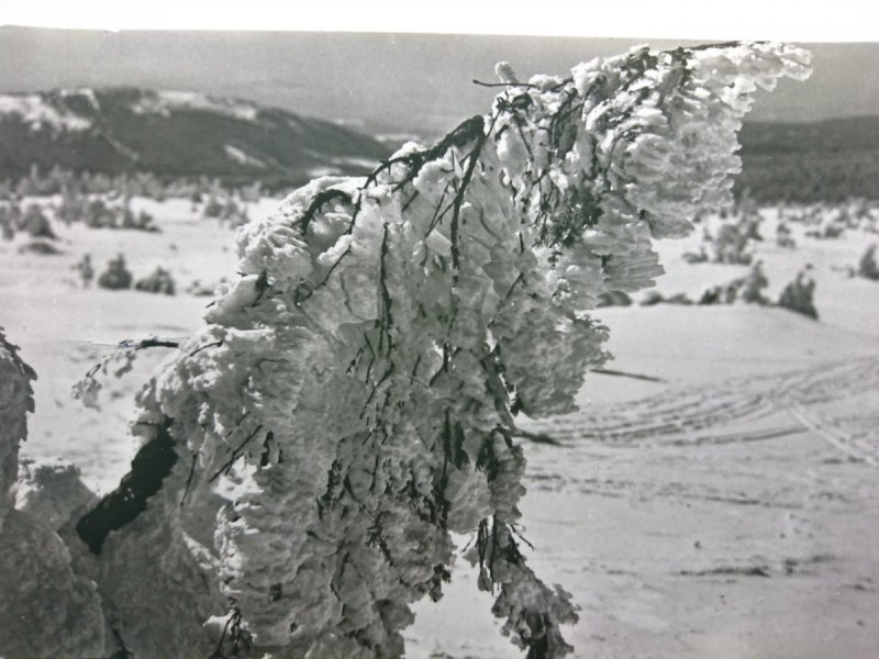 KARKONOSZE. PEJZAŻ ZIMOWY NA... FOT. OSUCHOWSKI
