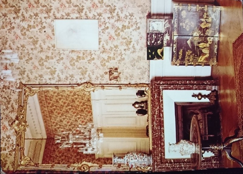 PSZCZYNA. MUZEUM WNĘTRZ ZABYTKOWYCH W PAŁACU Z XV-XIX w. POKÓJ CHIŃSKI FOT. ZAGOŹDZIŃSKI