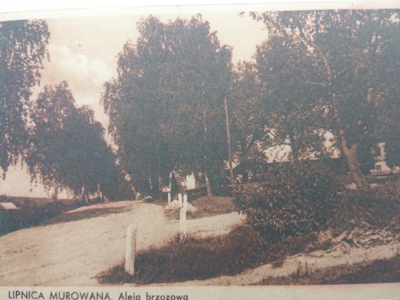 REPRINT. LIPNICA MUROWANA. ALEJA BRZOZOWA
