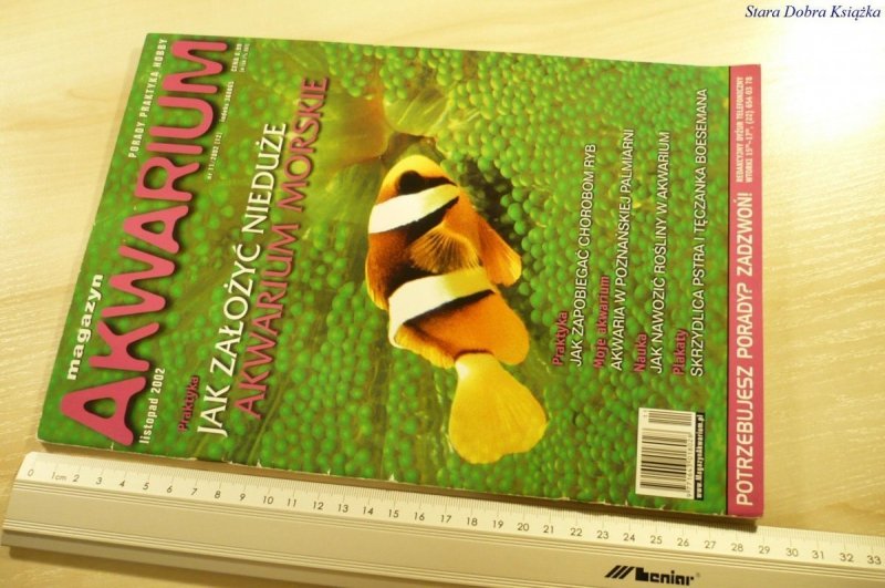 MAGAZYN AKWARIUM NR 11/2002 (12) BEZ PLAKATU