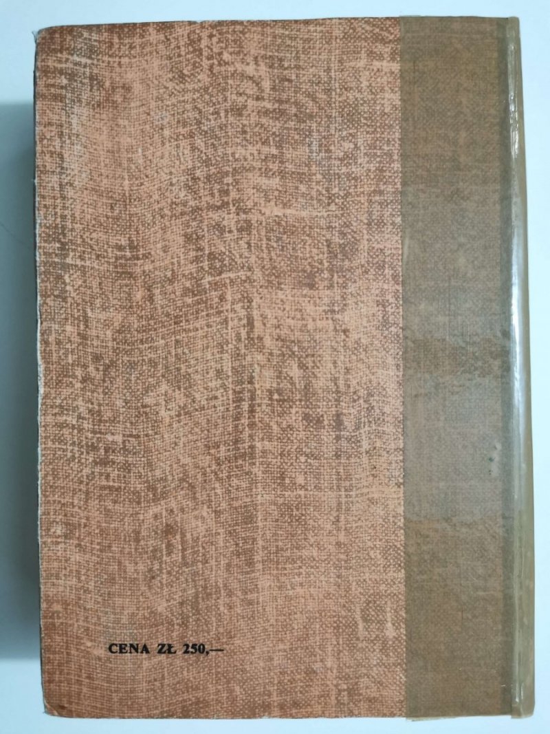SAGA O JARLU BRONISZU - Władysław Jan Grabski 1982