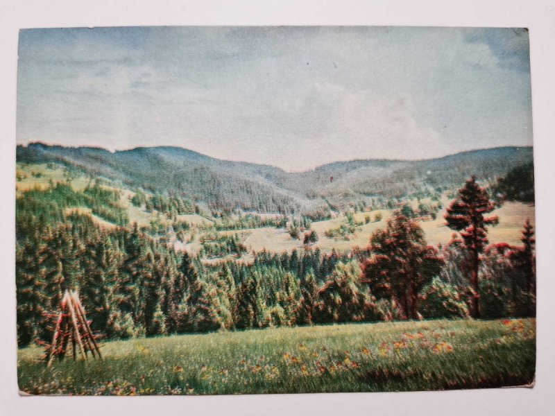 WISŁA GŁĘBCE. KRAJOBRAZ FOT. WENDOŁOWSKI