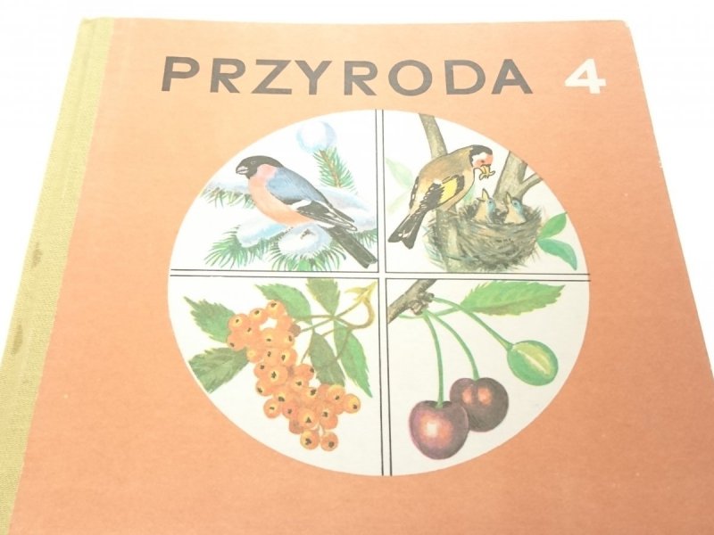 PRZYRODA 4 - Anna Czechowicz 1991