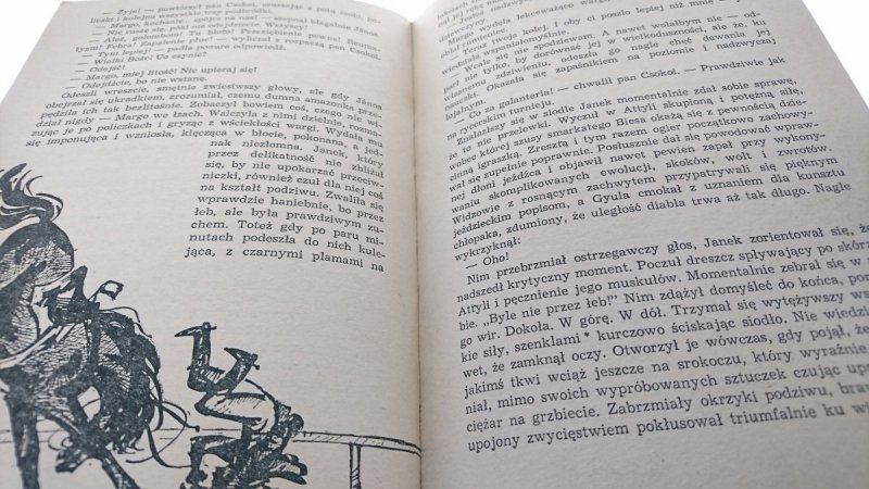 TRÓJKOLOROWA KOKARDA - Jadwiga Chamiec 1969