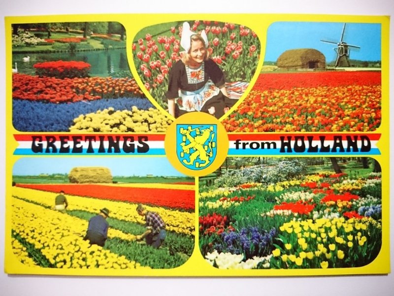GREETINGS FROM HOLLAND. HOLLAND IN BLOEMENTOOI