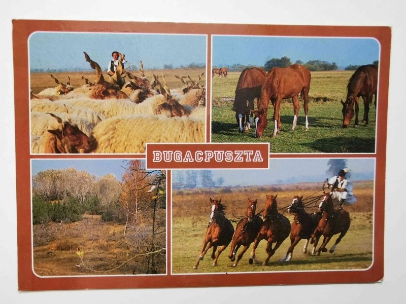 BUDACPUSZTA. CZTERY UJĘCIA FOT. VURAY GYORGY