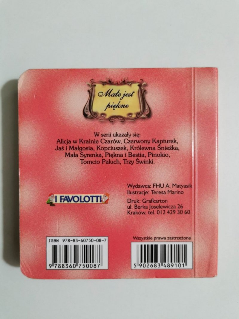 MAŁE JEST PIĘKNE. KOT W BUTACH 