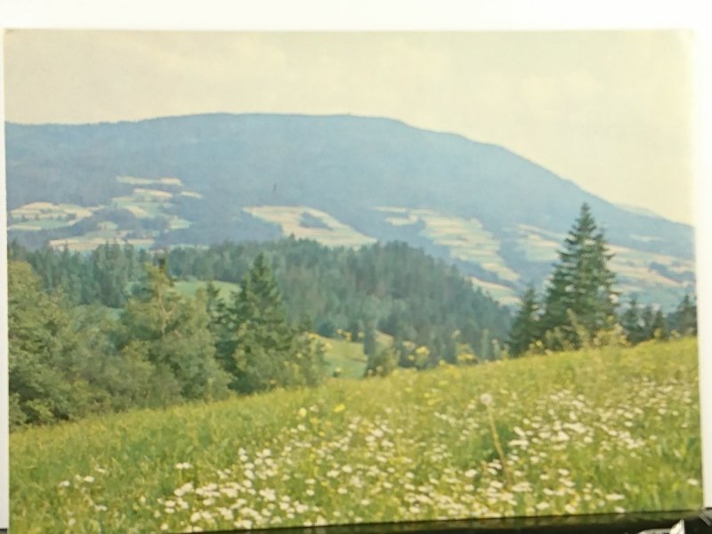 BESKID WYSPOWY. LUBOŃ WIELKI 1024 m
