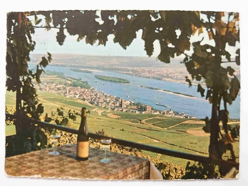 BLICK AUF RUDESHEIM AM RHEIN