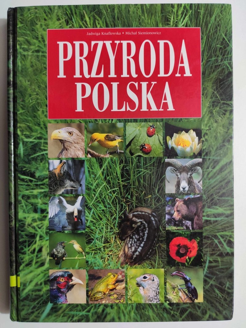 PRZYRODA POLSKA - Jadwiga Knaflewska