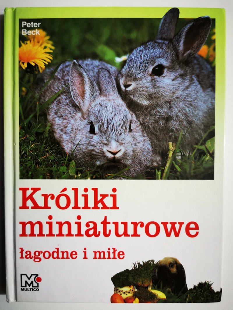 KRÓLIKI MINIATUROWE ŁAGODNE I MIŁE - Peter Beck