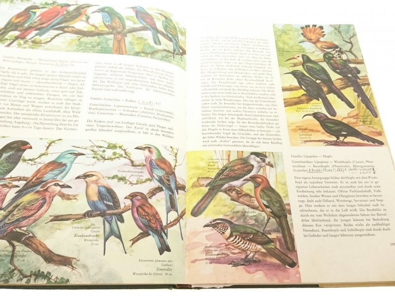 ENZYKLOPADIE DER TIERE - Wilhelm Eigener 1971