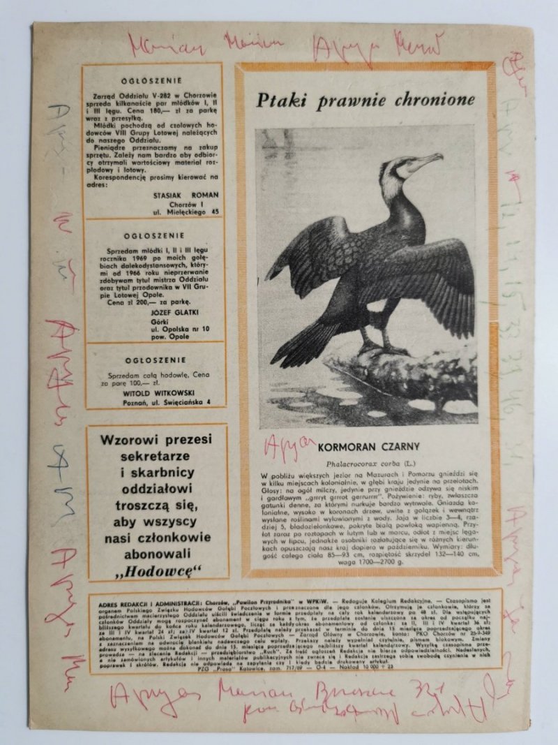 HODOWCA GOŁĘBI POCZTOWYCH NR 3 1969