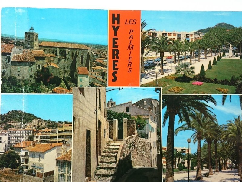 HYERES. LES PALMIERS