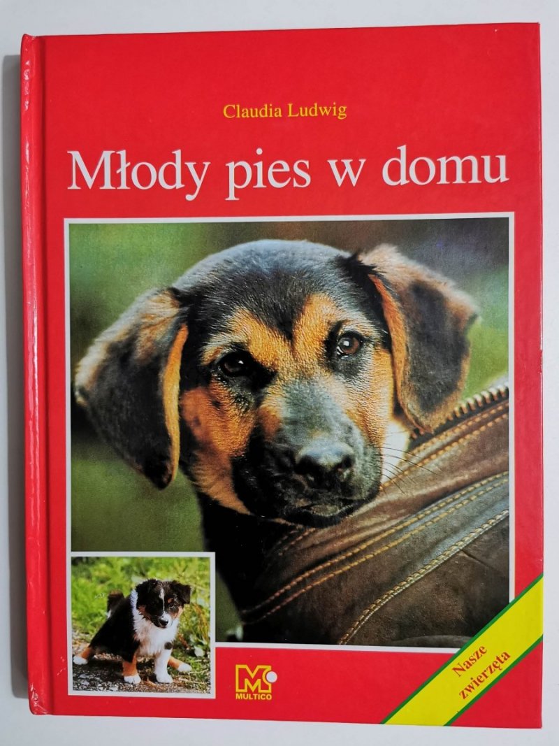 MŁODY PIES W DOMU - Claudia Ludwig 1998