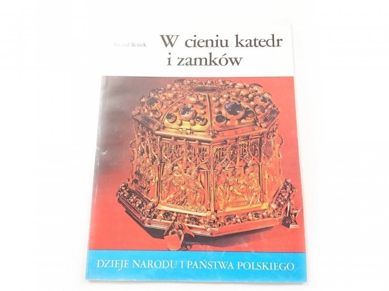 DNiPP: W CIENIU KATEDR I ZAMKÓW 1988