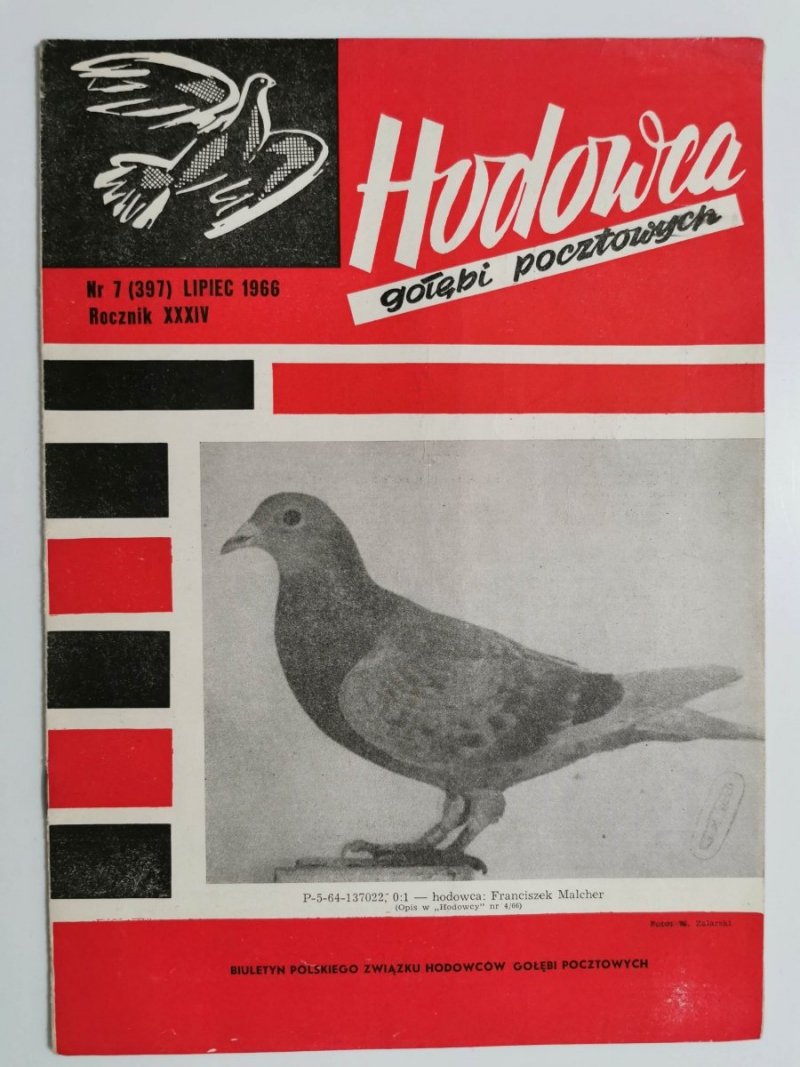 HODOWCA GOŁĘBI POCZTOWYCH NR 7  1966