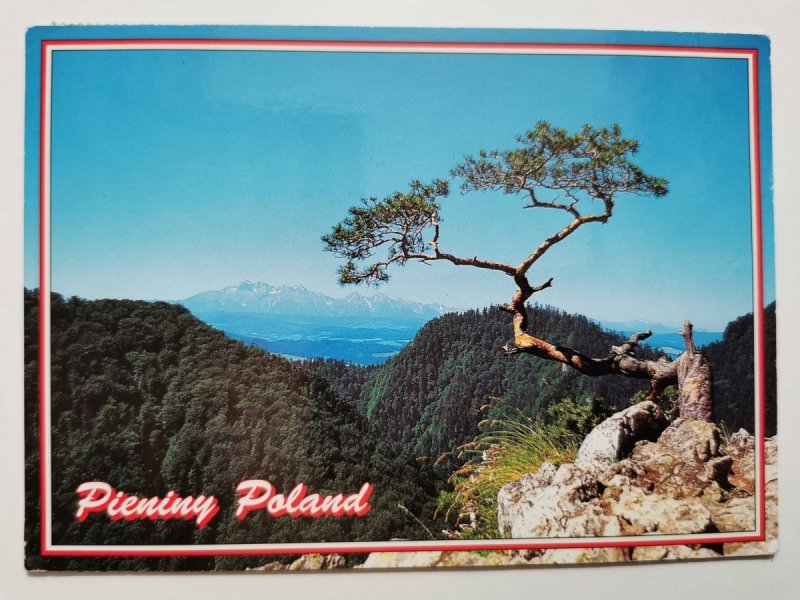 PIENINY POLAND. WIDOK ZE SZCZYTU SOKOLICY