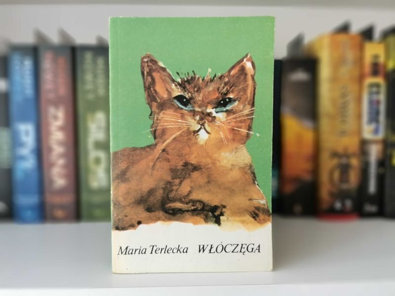 Włóczęga - Maria Terlecka