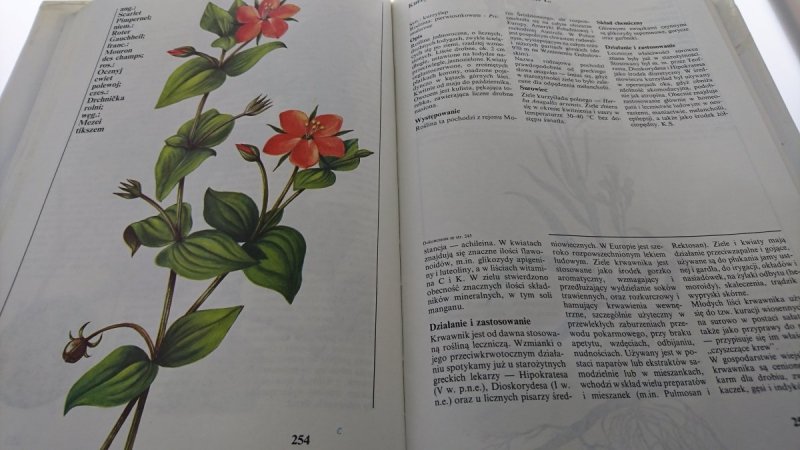 KWITNĄCY OGRÓD. LEKSYKON ROŚLIN LECZNICZYCH 1990