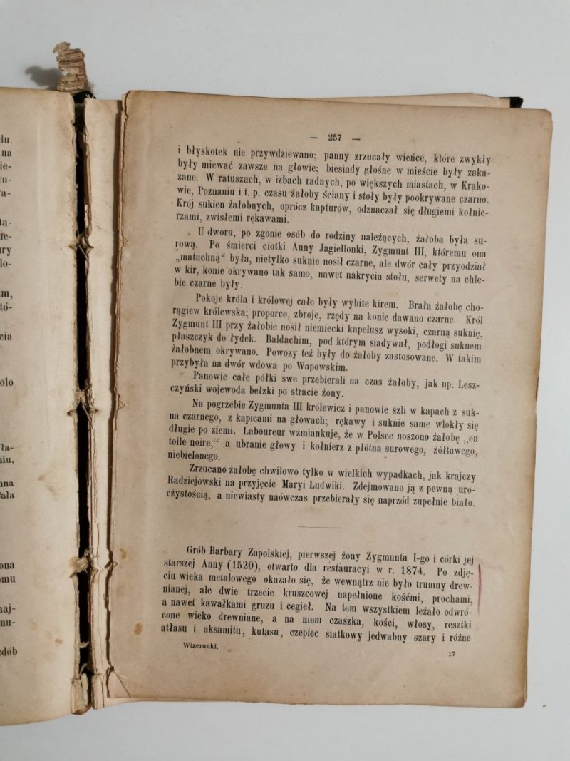 J. O. KSIĘŻNIE LUDWICE Z HOŁYŃSKICH FALCONIERI – CARPEGNA 1885