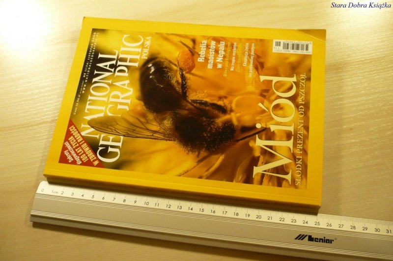 NATIONAL GEOGRAPHIC POLSKA NR 11 (74) LIS 2005