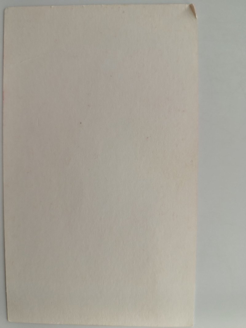 ŁASKAMI SŁYNĄCY OBRAZ MATKI BOŻEJ LICHEŃSKIEJ