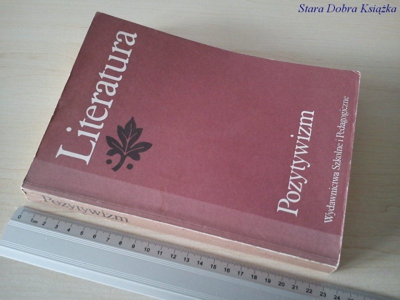 LITERATURA POZYTYWIZM - TADEUSZ BUJNICKI