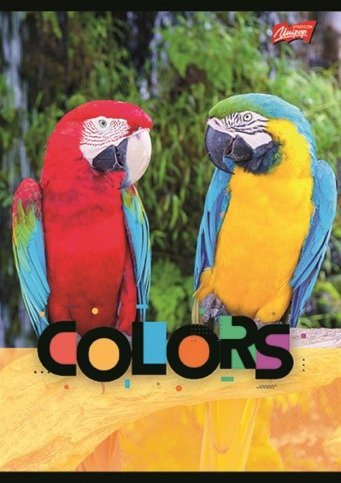 Zeszyt A5 32k kratka laminowany EXOTIC COLORS UNIPAP