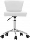 Krzesło kosmetyczne - 47 - 61 cm - 150 kg - białe Physa 10040648 HORW WHITE
