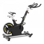 Rower stacjonarny - koło zamachowe 13 kg GYMREX 10230240 GR-MG126