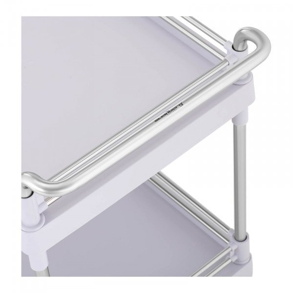 Wózek laboratoryjny - 2 półki 65 x 46 x 14 cm - 1 szuflada - 20 kg STEINBERG 10030838  SBS-LF-112