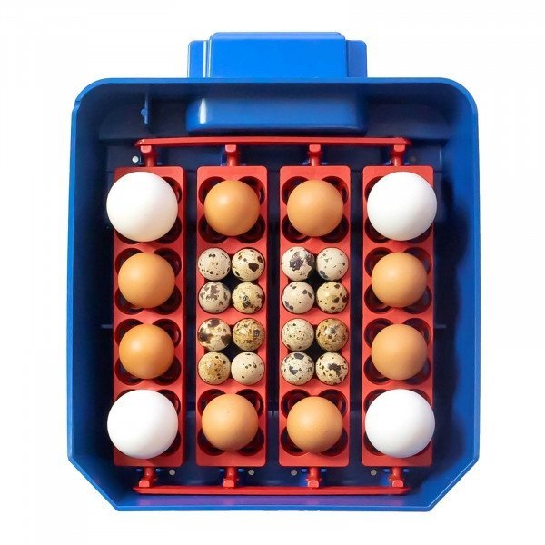 Inkubator do jaj - 16 jaj - dystrybutor wody - automatyczny BOROTTO 10370012 LUMIA 16 AUTOMATIC