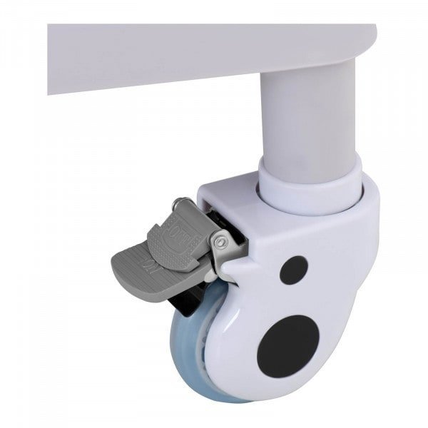 Wózek laboratoryjny - 2 półki 65 x 46 x 14 cm - 1 szuflada - 20 kg STEINBERG 10030838  SBS-LF-112